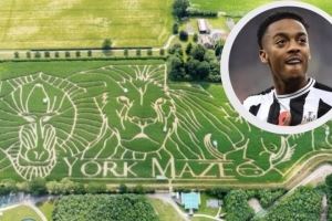 纽卡中场威洛克在迷宫迷路？埃迪-豪否认：谢天谢地，这不是真的